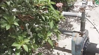 Spying on bigtit under shower fingering Thumbnail